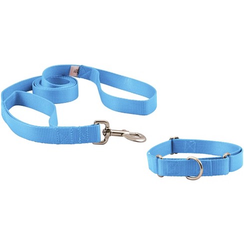 Light blue dog hot sale collar and leash