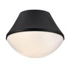 Lark Haddie 1 - Light Flush Mount in  Black - 4 of 4