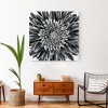 Creative Products Gray Flower Photograph 36x36 Canvas Wall Art - 4 of 4