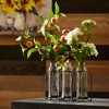 Bottle Vases in Iron Holder 19.75"L - 3 of 3