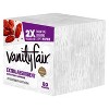 Vanity Fair Extra Absorbent Disposable Napkins - image 3 of 4