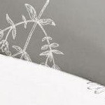 botany floral light gray