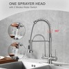 WOWOW Double-Handles Pull Down Sprayer Kitchen Faucet with Filter Spout - 3 of 4