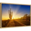 Amanti Art Saguaro National Park Setting Sun by Melanie Viola Canvas Wall Art Print Framed - 2 of 4