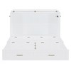 Whisen Modern Design Full Size Murphy Bed, Folded into a Cabinet with Drawer and USB Ports - 4 of 4