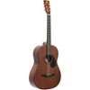 Rogue Starter Acoustic Guitar - 3 of 4