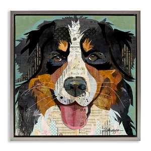 Stupell Industries Bernese Mountain Dog Collage Floating Frame Canvas Art - 1 of 4