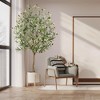 Plastic Olive Tree -Pole Olive Tree, Artificial Olive Tree, Decorative Olive Tree for Indoor Decor - 2 of 4