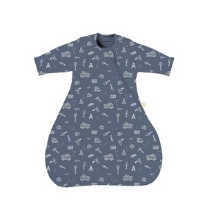 Baby Long Sleeve Transitional Swaddle Sleep Sack, Easy Diaper Changes, 2.5 TOG - 1 of 1