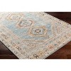 Hauteloom Iresh Area Rug - 4 of 4