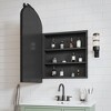 30 inch Light Green Bathroom Vanity with Sink and Iron Arched Mirror Cabinet, One Door with Shelf and Three Drawers - 3 of 4