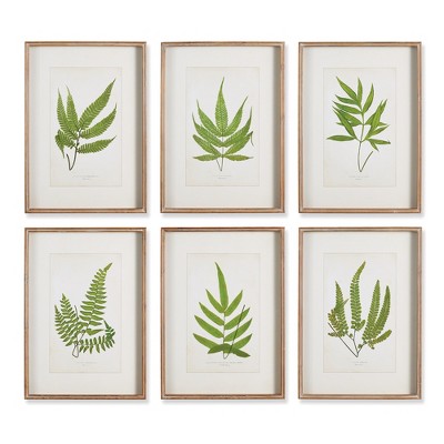 Plum & Post Forest Greenery Prints Set of 6