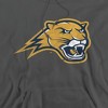 Averett University Official Distressed Primary Logo Adult Pull-Over Hoodie - 2 of 4