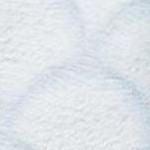 scallop texture light blue