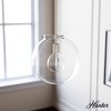 Hunter 12" Sacha Ceiling Light Brushed Nickel Finish - 1-Light Globe Pendant for Modern Indoor Spaces - 4 of 4