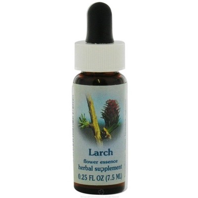 Larch Dropper by Flower Essence Services  -  0.25 oz Liquid