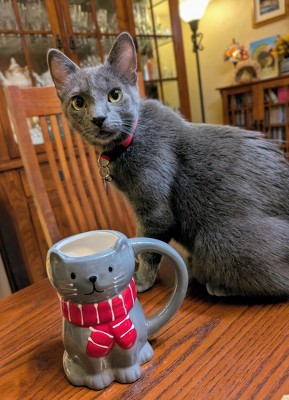 Guest review image 1 of 2, zoom in