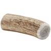 Scout & Zoe's: Elk Antler - Medium - Dog Chew, 15-30lb Breeds, Heavy Chewers - 2 of 4