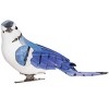 Gallerie II Blue Jay Clip Ornaments A/2 - 3 of 3