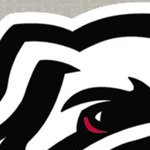 georgia bulldogs uga