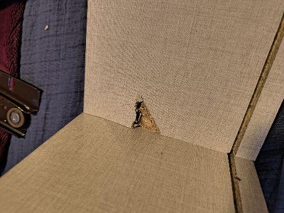 Guest review image 1 of 1, zoom in