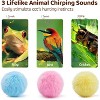 Potaroma Chirping Cat Toys Balls with SilverVine Catnip - 2 of 3