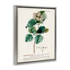 Stupell Industries Scientific Botanical Plant Seeds Floating Frame Canvas Art - 2 of 4