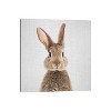 iCanvas Rabbit by Gal Design Canvas Print Wall Art - 2 of 3