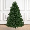 Joyfy Green Artificial Pencil Christmas Tree, 6ft Premium Hinged Pine Tree with Metal Legs, Dense Branches,Holiday Decoration - 4 of 4