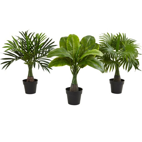 Nearly Natural Areca, Fountain & Banana Palm Artificial Trees (Set of 3) - image 1 of 4