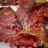 72"L Sullivans Artificial Full Maple Leaf Fall Garland, Multicolor - 2 of 3