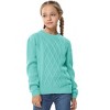 Girls Long Sleeve Cable Knit Sweater Crewneck Pullover Sweaters Kids Chunky Cute Fall Jumper Tops - 3 of 4