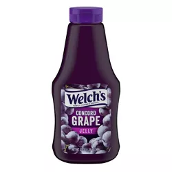 Welch's Squeeze Concord Grape Jelly - 20oz
