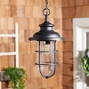 Adelle 9" Outdoor Pendant - PLT7013 - Black - Safavieh - 3 of 4