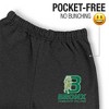 Bronx Community College Primary Logo Jogger Sweatpants - 3 of 4
