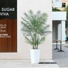 DR.Planzen UV Resistant 6-7FT Artificial Palm Tree with White Tall Planter, Big Pre Potted Fake Palm Plants for Indoor Outdoor Office House Decor - 2 of 4