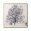 Chelsea Victoria The Willow And The Snow Framed Wall Art Poster Print White - Deny Designs - 4 of 4