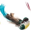Gallerie II Bright Bird Clip Ornament Assortments of 6 - 3 of 4