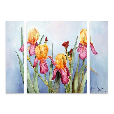 27"x33.5" Arie Reinhardt Taylor 'Irises Four' Multi Panel Decorative Wall Art set - Trademark Fine Art