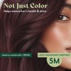 Herbatint Permanent Hair Color Gel 5.75 fl oz Liquid - 4 of 4