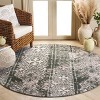 Adirondack ADR111 Non-Shedding Power Loomed Indoor Rugs - Safavieh - 2 of 4