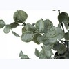 Artificial Plant, 35" Tall, Eucalyptus Tree, Indoor, Faux, Fake, Floor, Greenery, Potted, Decorative, Green Leaves, Black Pot - 4 of 4