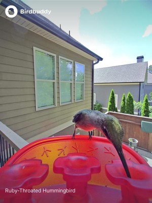 Guest review image 5 of 6, zoom in