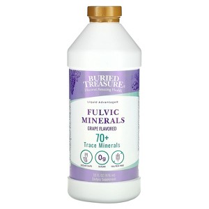 Buried Treasure Fulvic Minerals, Grape, 33 fl oz (976 ml) - 1 of 4