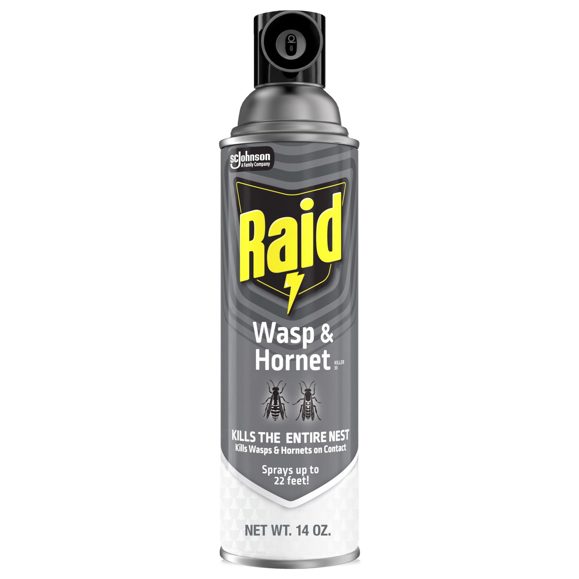 Raid Wasp and Hornet Aerosol Insecticides - 14oz