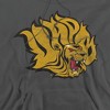 University of Arkansas at Pine Bluff Official Distressed Primary Adult Pull-Over Hoodie - 2 of 4
