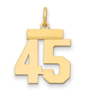 Black Bow Jewelry 14k Yellow Gold, Athletic Collection, Small Polished Number 45 Pendant - 1 of 3