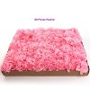 Floral Home 5" Pick Long Pink Carnation Pick - 100-Piece - 3 of 4