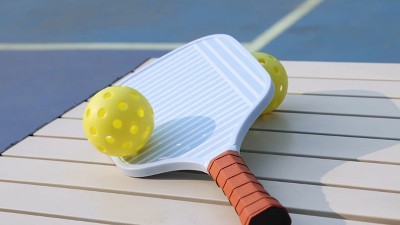 【オマケ付】 ホリダ マジョール15株セット Pickle O'Joe 15.7'' Paddle and Ball Set Traditional Pickleball