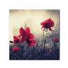Trademark Fine Art -Philippe Sainte-Laudy 'Red For Love' Multi Panel Art Set - 2 of 3